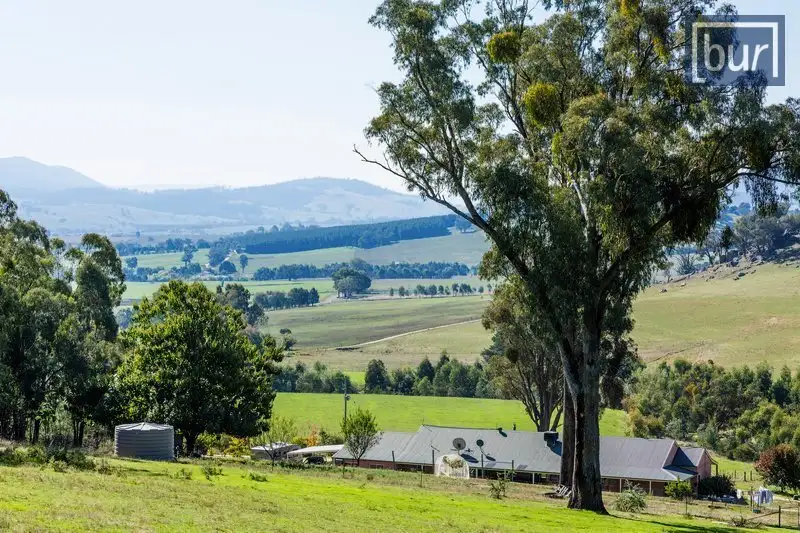 Main view of Homely rural property listing, 473 Switchback Rd, Mudgegonga VIC 3737