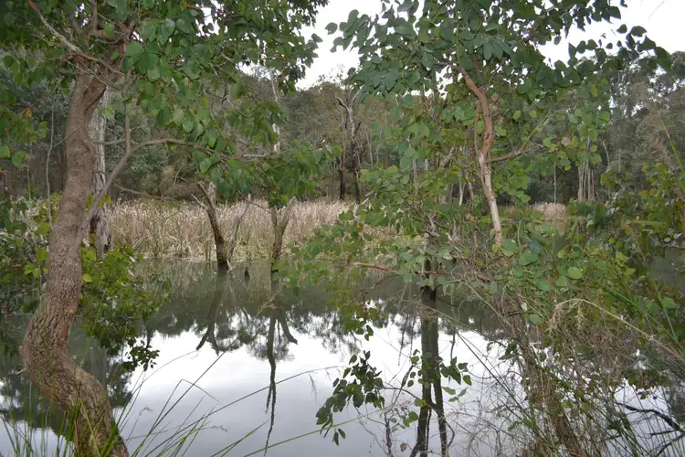 Second view of Homely rural property listing, 4 Daniels Road, Bridgetown WA 6255