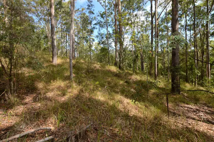 Second view of Homely land listing, 62 Rambert Road, Eudlo QLD 4554