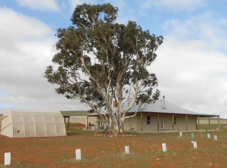 356 Merino Road, Jamestown SA 5491