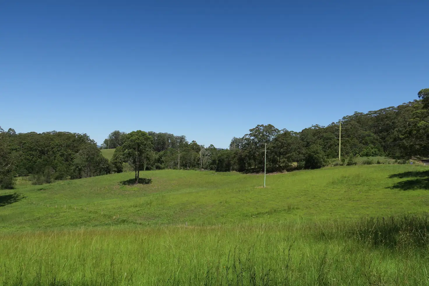 Main view of Homely land listing, 574 Irvines Road, Newee Creek NSW 2447