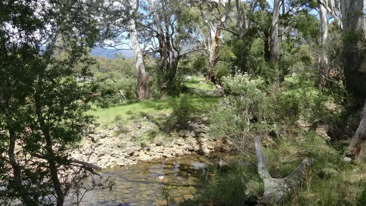 Fifth view of Homely rural property listing, 258 Hop Valley Road, Blackwood Creek TAS 7301