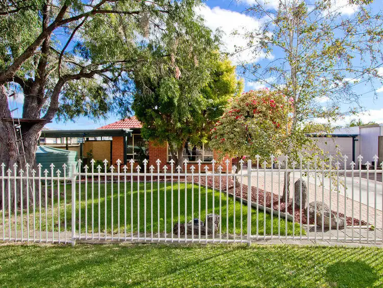 12 Michael Avenue, Modbury North SA 5092