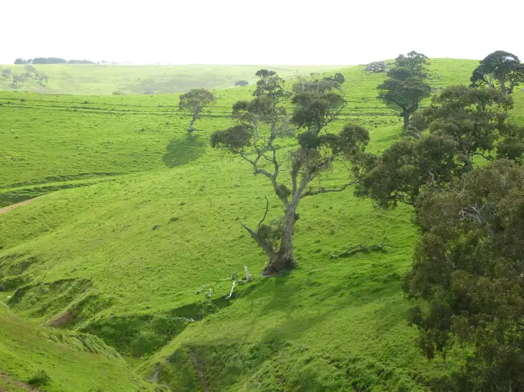 Fifth view of Homely rural property listing, Lot 51 Forktree Road, Carrickalinga SA 5204