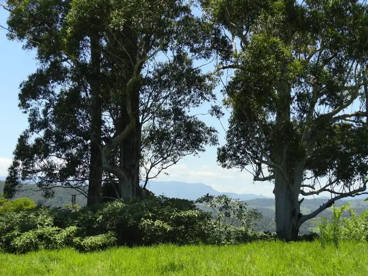 Seventh view of Homely rural property listing, Address available on request