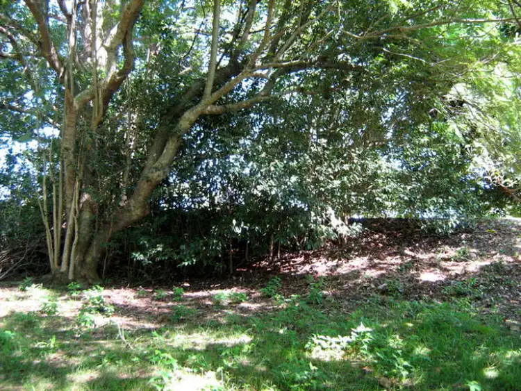 Third view of Homely land listing, 59 Balmoral Road, Montville QLD 4560