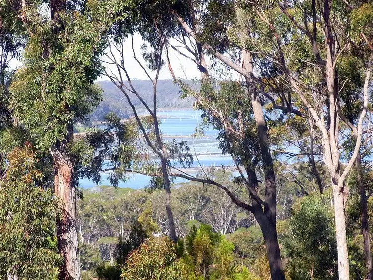 Seventh view of Homely rural property listing, L58 White Fox Road, Broadwater NSW 2549