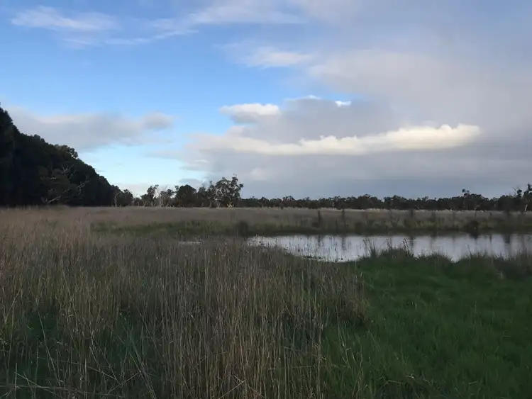 Seventh view of Homely rural property listing, 59 Mundalena Rd, Lucindale SA 5272
