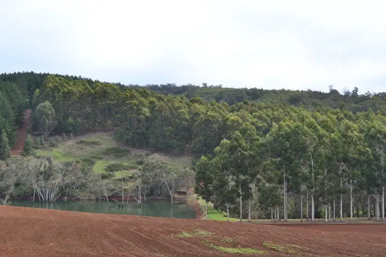 Fifth view of Homely rural property listing, Lot 76 Hawterville Road, Mullalyup WA 6252