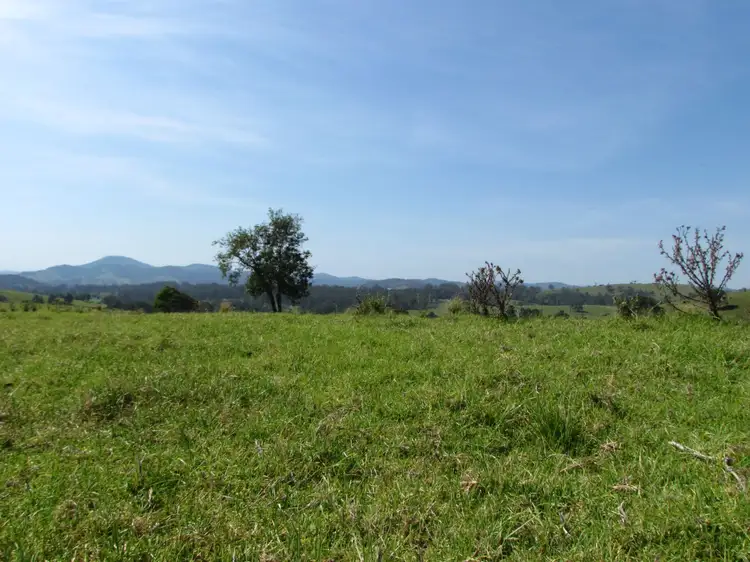 Third view of Homely rural property listing, 782 Bunyah Road, Bunyah NSW 2429