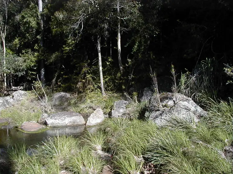 Fourth view of Homely land listing, 99 Simba Road, West Woombye QLD 4559