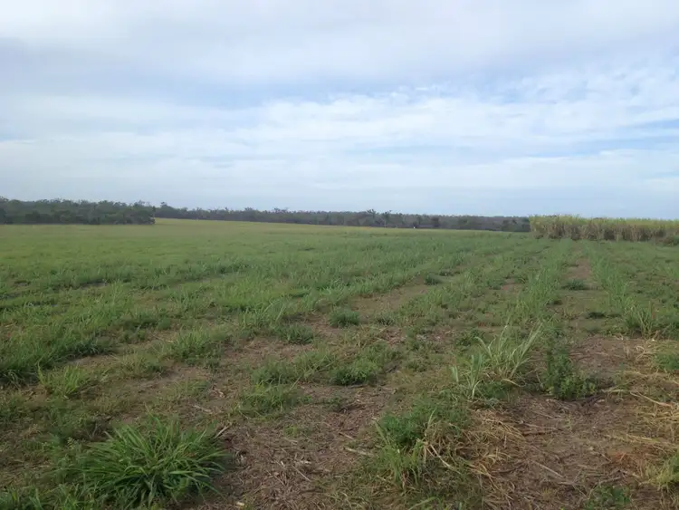 Fourth view of Homely rural property listing, 403 Abington Road, Abington QLD 4660