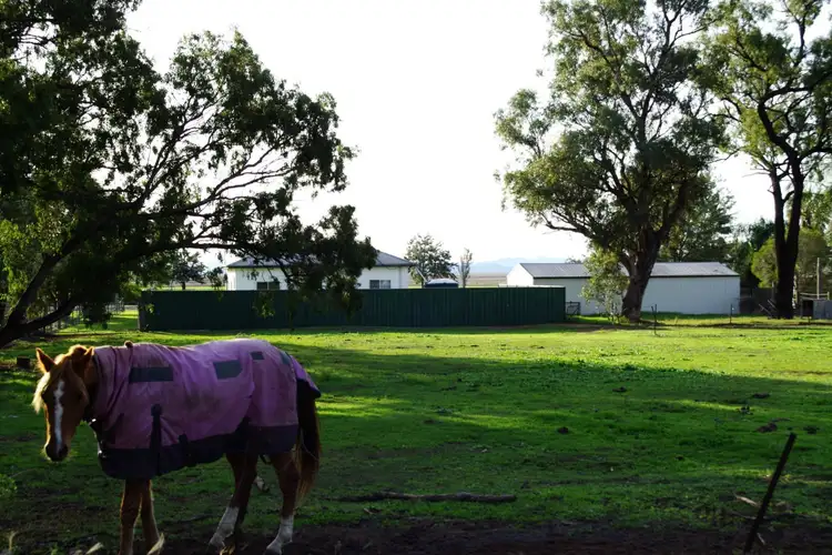 Sixth view of Homely house listing, 90 Darby Road, Quirindi NSW 2343