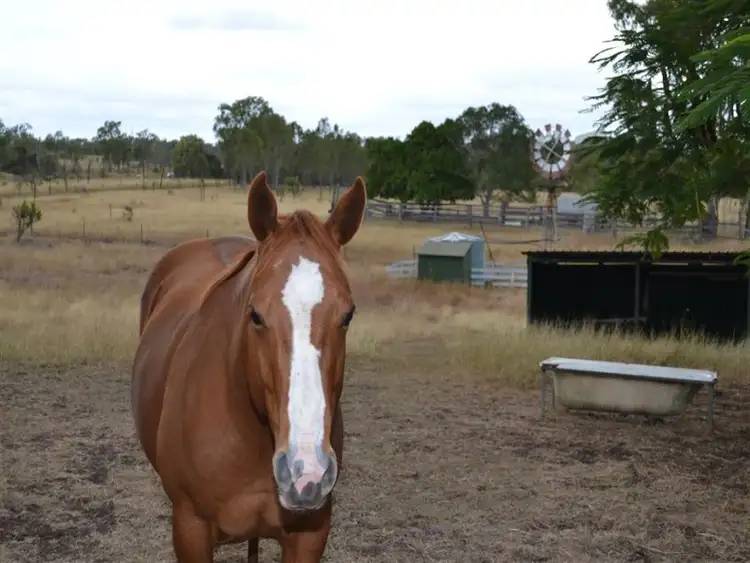 Fifth view of Homely rural property listing, 4100 Capricorn Highway, Westwood QLD 4702