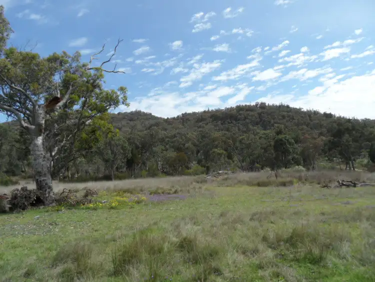 Fifth view of Homely land listing, 118a Stalling Lane, Stanthorpe QLD 4380