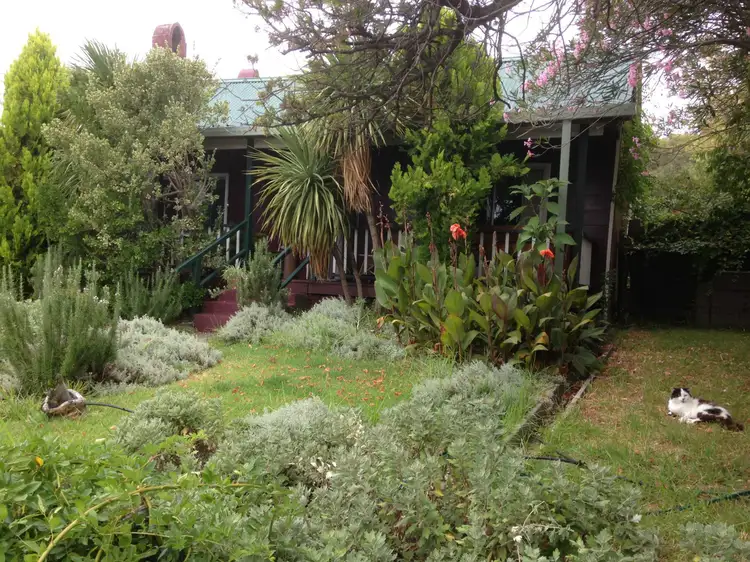 Main view of Homely house listing, 367 Rouse Street, Tenterfield NSW 2372