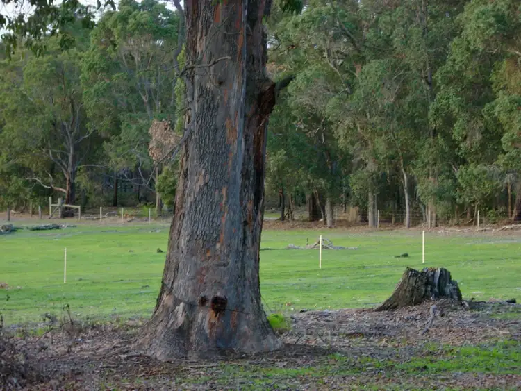 Seventh view of Homely land listing, 812 Perseverance Boulevard, Argyle WA 6239