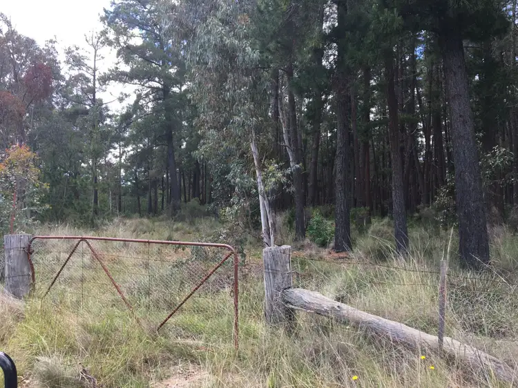 Second view of Homely rural property listing, 116 Ilford Hall Road, Ilford NSW 2850