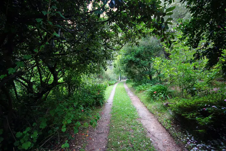 Fourth view of Homely rural property listing, 110 Yerunda Road, Tomerong NSW 2540