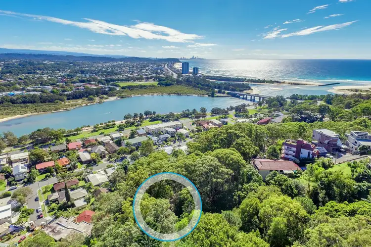 25 Thrower Drive, Currumbin QLD 4223
