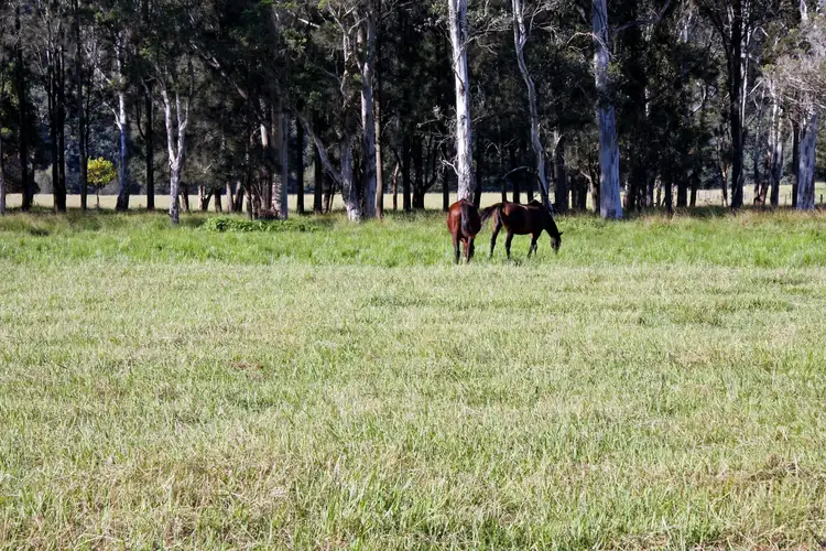 163 St Albans Road, Wisemans Ferry NSW 2775