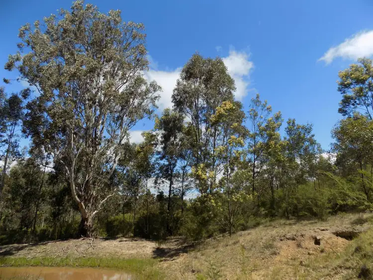 Second view of Homely land listing, Lot 2 Back Wombat Road, Boisdale VIC 3860