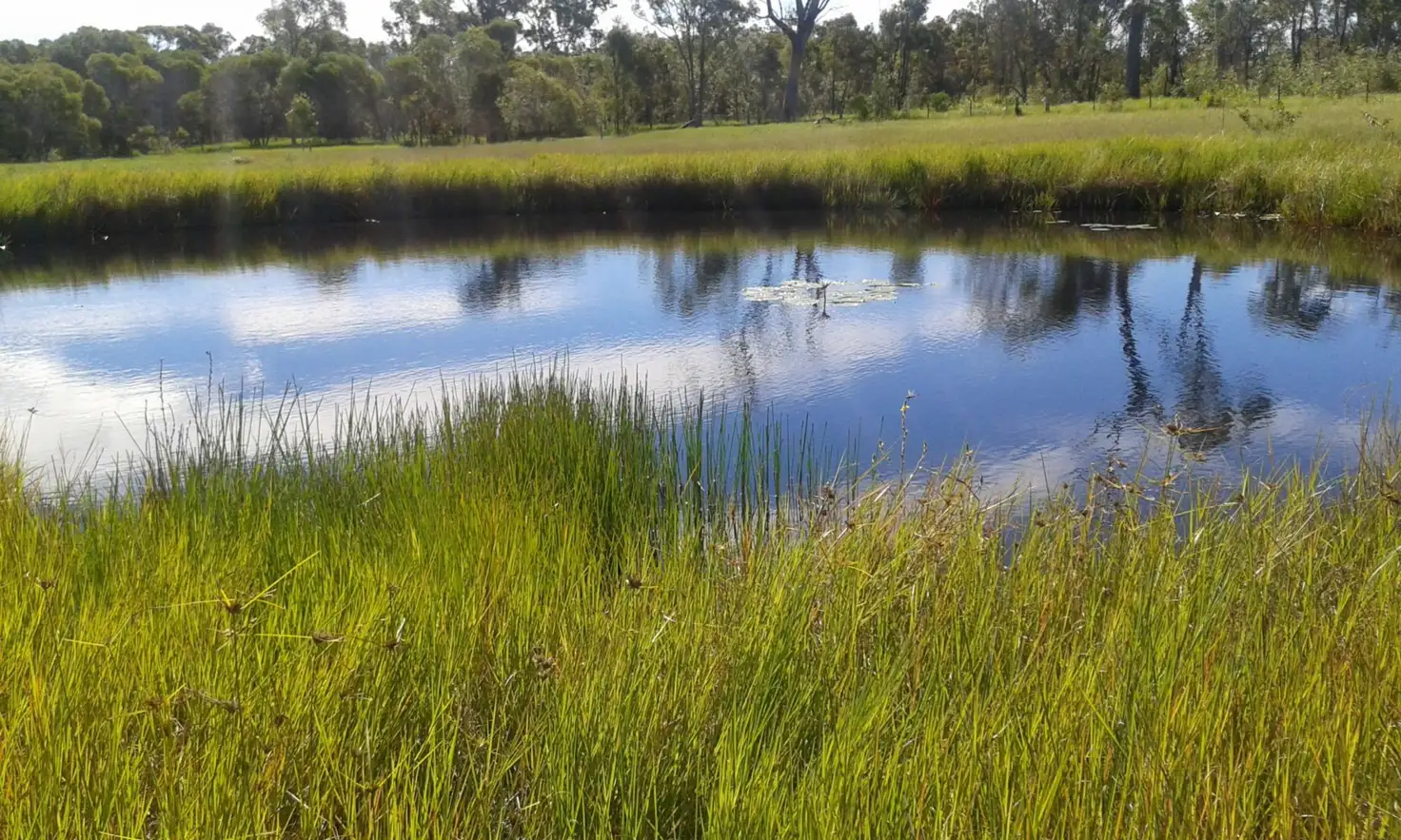 Main view of Homely land listing, 17 Gregory Drive, Redridge QLD 4660