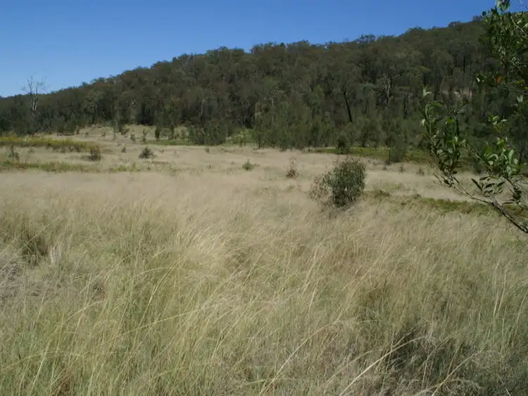Seventh view of Homely rural property listing, Lot 21 Putty Road, Putty NSW 2330