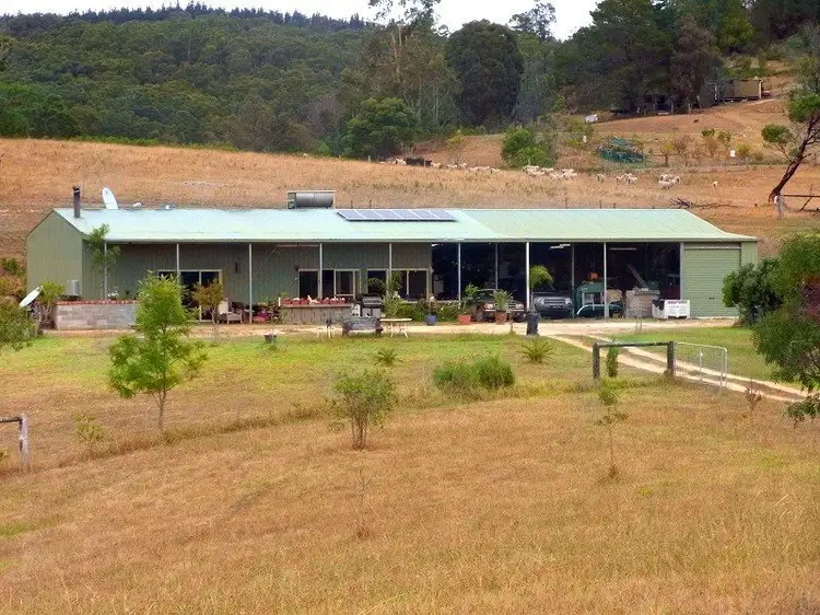 Main view of Homely rural property listing, 201 Pericoe Road, Towamba NSW 2550