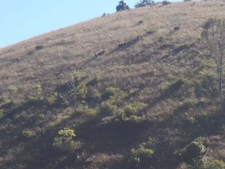 Third view of Homely rural property listing, Address available on request