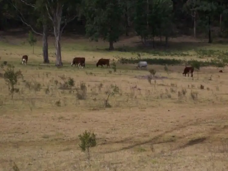 Second view of Homely rural property listing, 432 Putty Valley Road, Putty NSW 2330