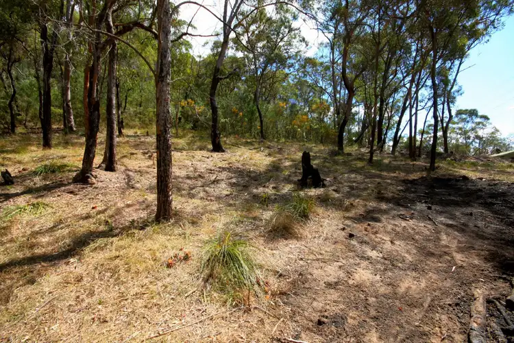 446 Singleton Road, Wisemans Ferry NSW 2775