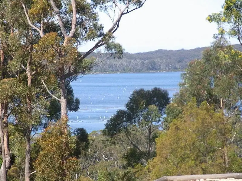 Main view of Homely rural property listing, L58 White Fox Road, Broadwater NSW 2549