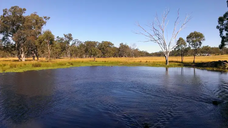 Seventh view of Homely rural property listing, 347 Old Stanthorpe Road, Warwick QLD 4370