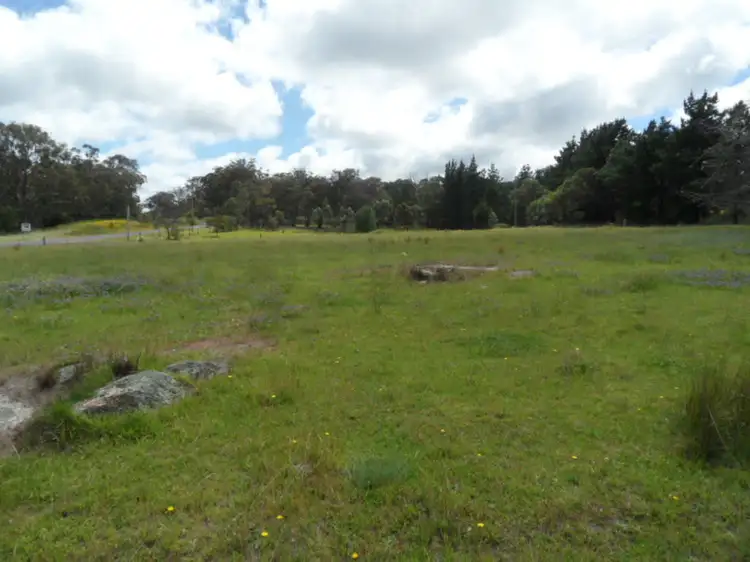 Second view of Homely rural property listing, 221 Nundubbermere Rd, Greenlands QLD 4380