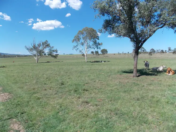 Sixth view of Homely rural property listing, 13 Ferling Rd, Calvert QLD 4340