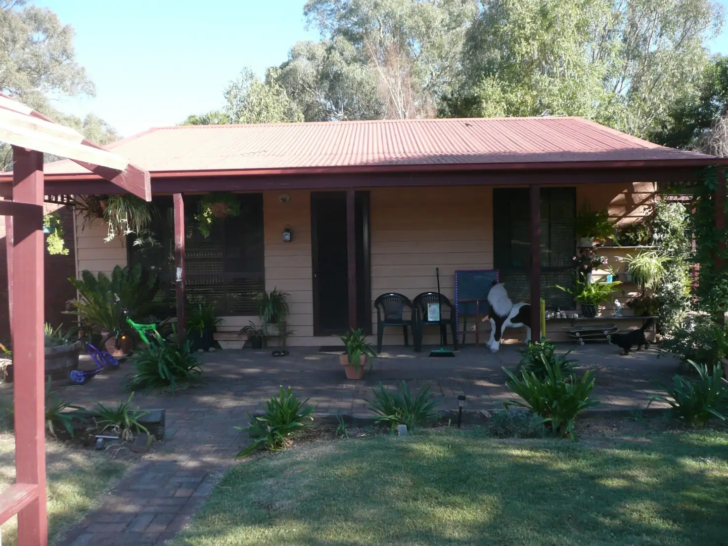 Main view of Homely house listing, 11 Milne Avenue, Myrtleford VIC 3737