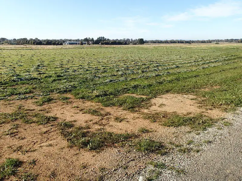 Main view of Homely land listing, L10 Nashes Road, Rutherglen VIC 3685