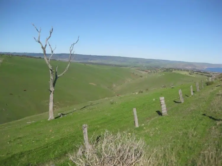 Fifth view of Homely rural property listing, Lot 11 Forktree Road, Carrickalinga SA 5204