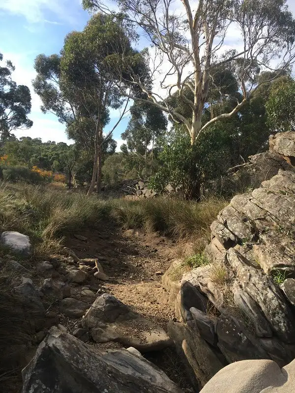 Sixth view of Homely rural property listing, 578 Critchley Road, Rockleigh SA 5254