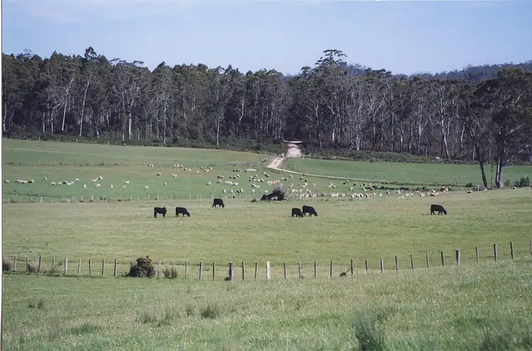 Fifth view of Homely rural property listing, 114 Kelly's Rd, Reedy Marsh TAS 7304