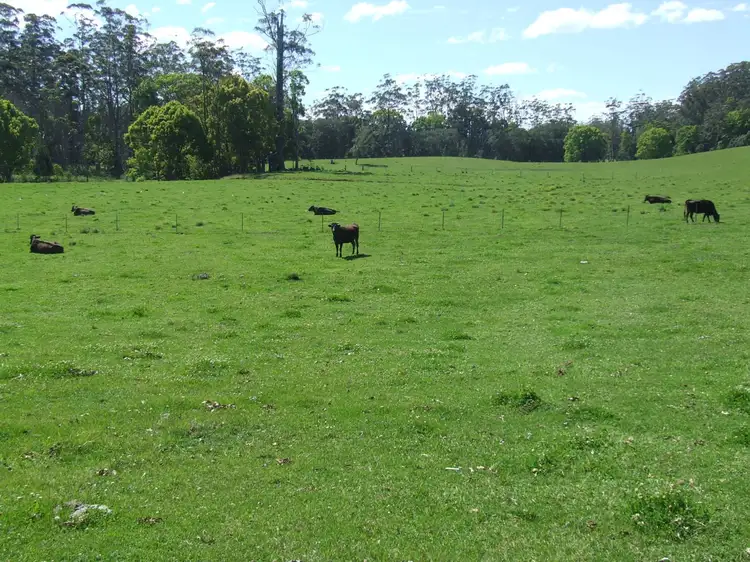 Third view of Homely rural property listing, Lot 220 Mardells Road, Bucca, Coffs Harbour NSW 2450