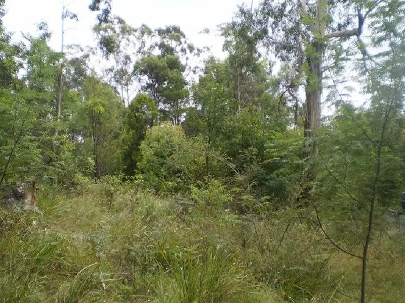 Main view of Homely rural property listing, L11 Genoa Street, Towamba NSW 2550
