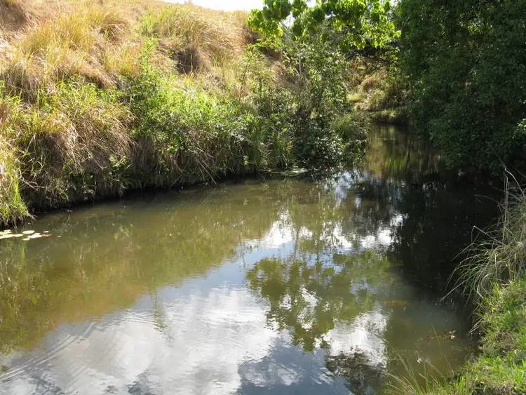 Third view of Homely land listing, LOT 6, 482 Eumundi Kenilworth Road, Eumundi QLD 4562