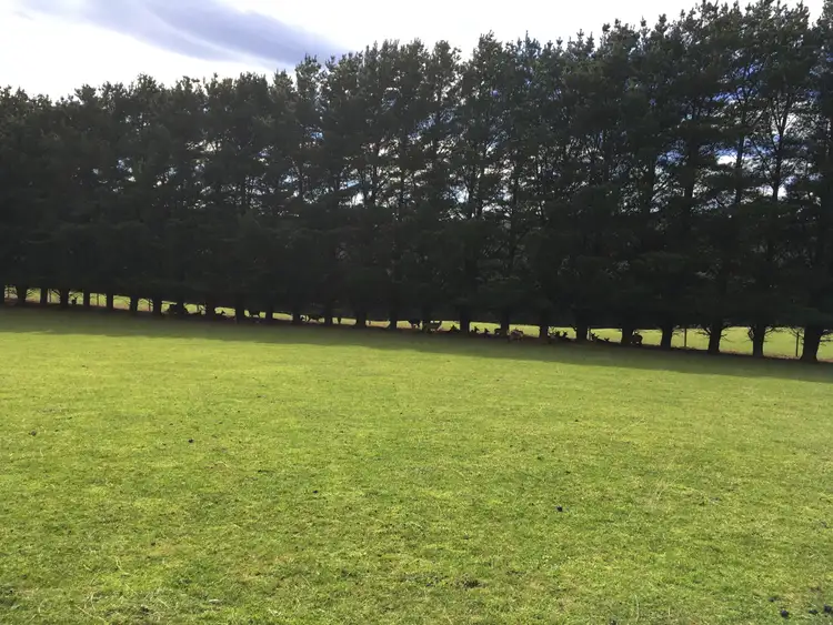 Third view of Homely rural property listing, 147 Mathieson Road, Erica VIC 3825
