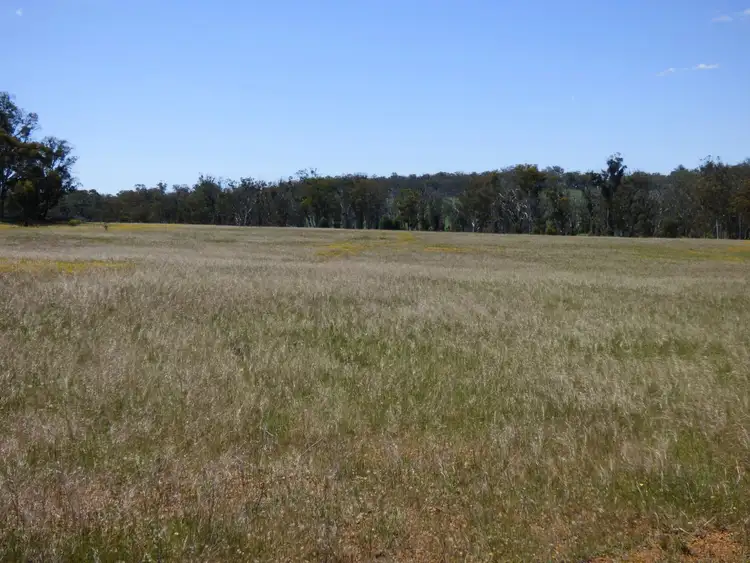 Fourth view of Homely land listing, Lot 2 Eucalyptus Road, Toodyay WA 6566