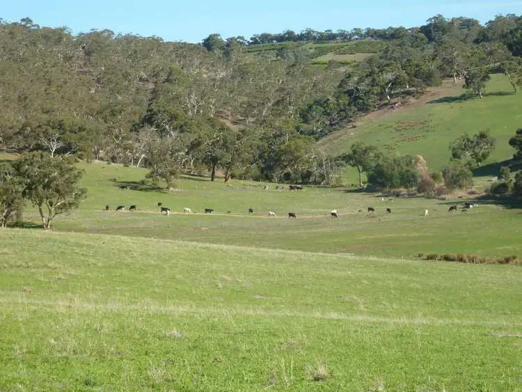 Sixth view of Homely rural property listing, 300 Yulte Road, Myponga SA 5202