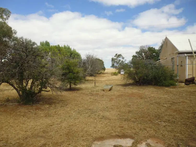 Second view of Homely house listing, 53 Forgan Street, Crystal Brook SA 5523