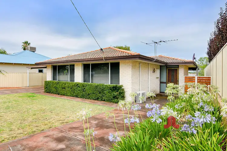 Main view of Homely house listing, 236 Steere Street, Collie WA 6225