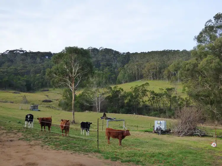 Sixth view of Homely rural property listing, 613 New Buildings Road, Wyndham NSW 2550